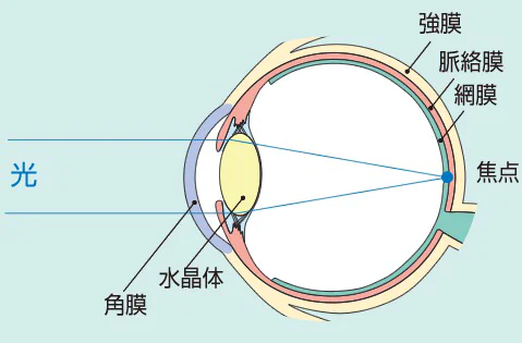 近視進行防止